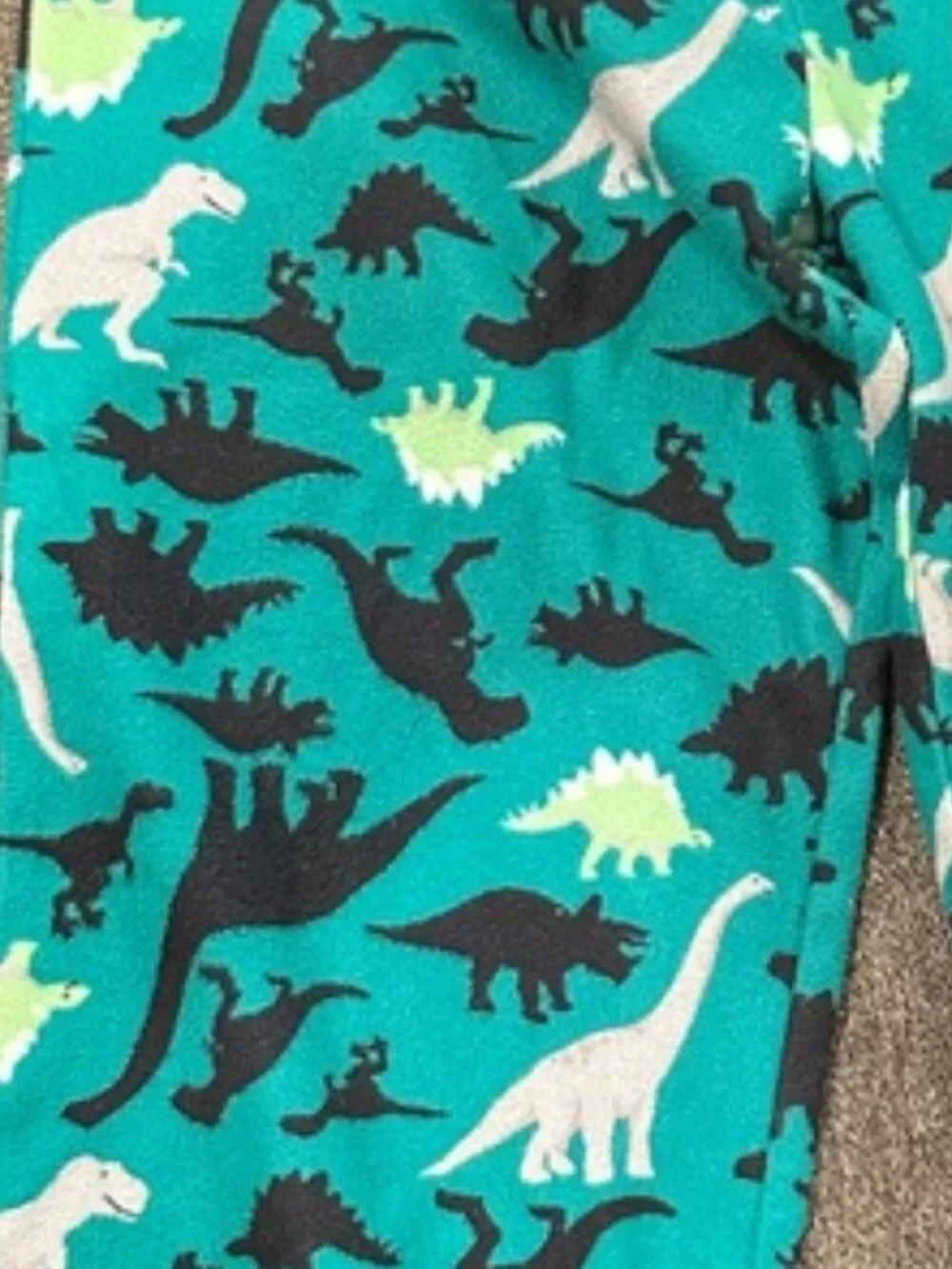 🤑EU Simple Joys Green Dinosaur Print Fleece Pajama Pants🤑